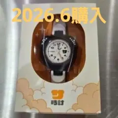 CASIO サ時計 SAN-100H-7BJR　アナログ クォーツのサムネイル