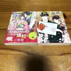 2月新刊　ベリーズ文庫6冊+ベリーズ文庫with2冊 ベリーズ文庫 2冊セット - メルカリ