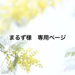 ※まるず様専用ページです