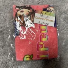 hitomi様 リクエスト 2点 まとめ商品