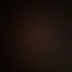唐獅子牡丹さん専用のサムネイル