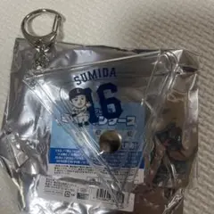 埼玉西武ライオンズ　隅田知一郎