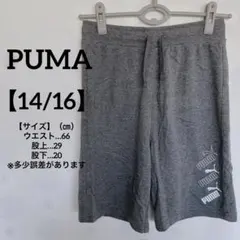 美品✨PUMA 【14/16】プーマ　グレー ハーフパンツ