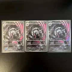 ガルラ　タチフサグマ　3枚セット