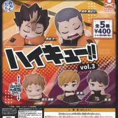 ハイキュー!! vol.3 宮兄弟