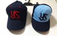 Item thumbnail for item 98ab3dcb-8889-4656-aee7-993f49e1275c