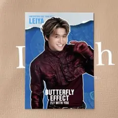 瀬口黎弥 シクレ BUTTERFLY EFFECT