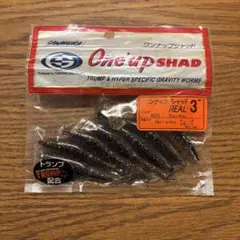 Item thumbnail for item 855ea915-bce8-4984-805b-d44b5771dc39