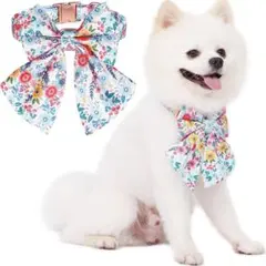 ❤️残り1点❤️ 犬　首輪　ペット　首輪　リボン付き