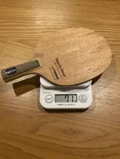 【美品】　テナシティウッド中国式ペン