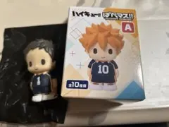 ハイキュー!! ぱぺマスA 澤村大地