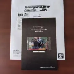 サラブレッドコレクション