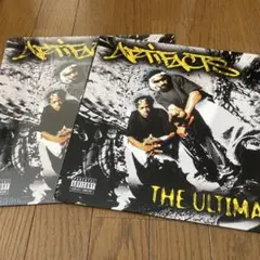 Artifacts The Ultimate 12インチレコード 2枚セット