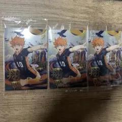 ハイキュー ゴミ捨て場の決戦 ウエハース カード 1.日向翔陽