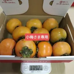 ⑤小梅さま専用