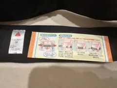 Item thumbnail for item 3b4c2734-c0d4-4a70-ba83-aafd4c1fb16c