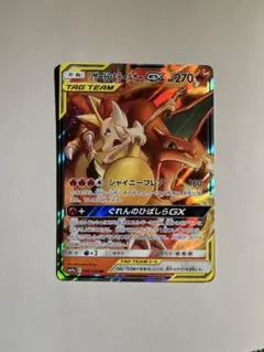 リザードン&テールナーgx