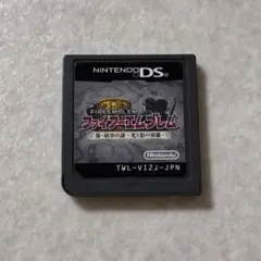 動作確認済 ファイアーエムブレム 新・紋章の謎 光と影の英雄 ニンテンドーDS