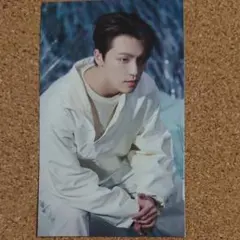 SEVENTEEN ディノ SECTOR17 タワレコ購入特典