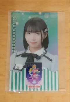 中坂美祐 SKE48 サンシャインサカエ トレーディングカード