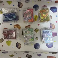 ポケモン パッケージ&ゲームカード キーホルダーコレクション コンプ 