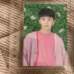 SEVENTEEN ウジ WOOZI 우지 HARU ハル ハルコン 15
