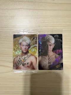 Item thumbnail for item b1789ef6-b7ba-466b-9f3e-8f9dcb04f2a7