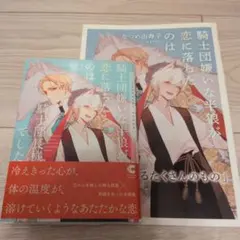 騎士団嫌いの反狼が恋に落ちたのは騎士団長様でした なつめ由寿子 コミコミ特典付き