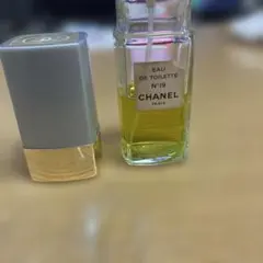 シャネル No.19 オードトワレ Eau de Toilette 100ml