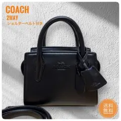 ✨極美品✨COACH　2way ショルダーバッグ　アンドレアキャリーオール　ミニ