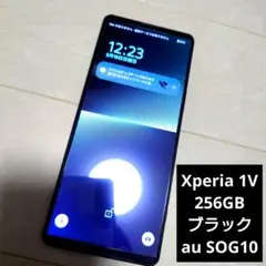 L02 docomo SIMフリー Xperia 1 V SO-51D - メルカリ