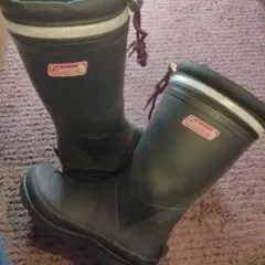 Item thumbnail for item da01acdc-8bf4-4f6b-9a40-c6fd70d81a02