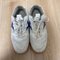 体育館シューズ