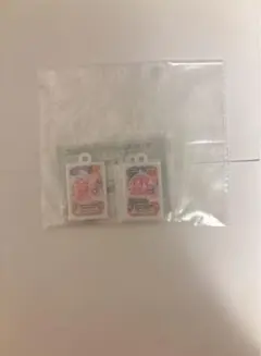 オーロラキスコーデ・カードチャーム