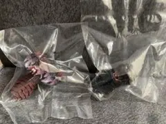 一番くじ ゴジラ 怪獣乱舞 E賞　モンスターヘッドマグネット　2種セット