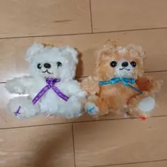 アピナ限定 テディベア くま ぬいぐるみ まとめ売りのサムネイル