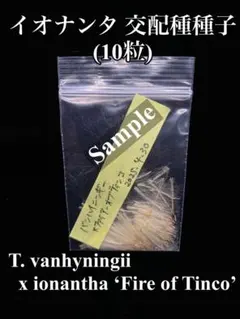 めぐみ様 リクエスト 2点 まとめ商品