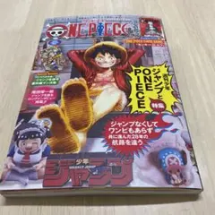 【新品未開封・プロモ付き】ワンピースマガジン20号