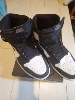 AIRJORDAN 1 RETRO HIGH OG ブリーチドコーラル