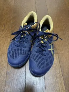 Item thumbnail for item 62469489-3b75-47e5-82b2-2fe16aff38ff