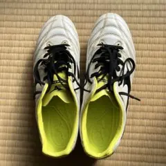 Item thumbnail for item 35e71897-9d9e-46d7-8ddd-ad36d7170afa