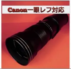 Canonカメラをお持ちの方おすすめ！遠距離撮影レンズ！カメラ初心者サポート付き