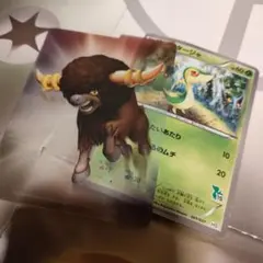 ポケモンカードゲーム ツタージャ　バッファローカード仕切り