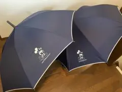 東京ディズニーリゾート 雨傘 2本セットのサムネイル