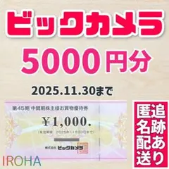 ビックカメラ コジマ 株主優待券 合計5000円分　ソフマップ