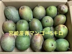 2025年最新】摘果マンゴーの人気アイテム - メルカリ