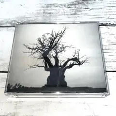 SEKAI NO OWARI 2010-2019 セカイノオワリ