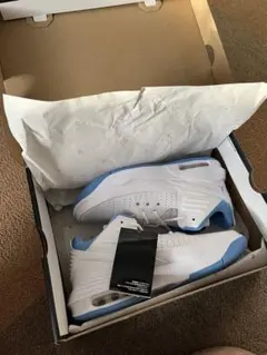 ジョーダンマックスオーラ5