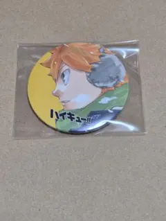 ハイキュー!! コレクション 缶バッジ 第4弾 日向翔陽