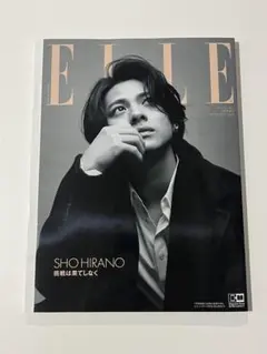 増刊 ELLE JAPON 特別版 2023年11月号
